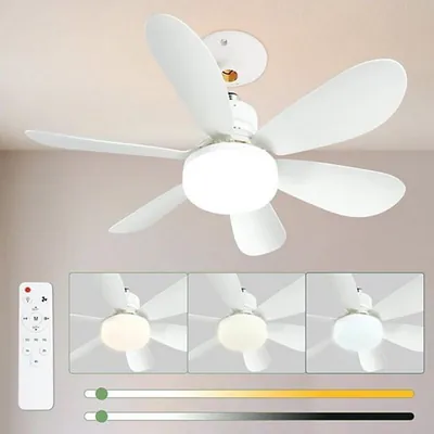 52 Cm Stille Plafondventilator met Licht en Afstandsbediening, 40 W Plafondventilatorlamp met E27 - Steker, Woonkamer, 3 Snelheden, 6 Bladen